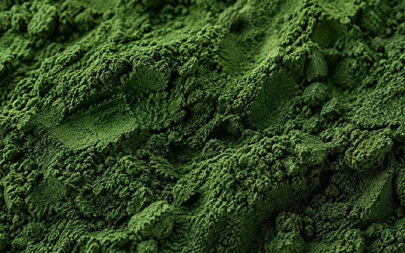 Chlorella (Organic Broken Cell Wall)